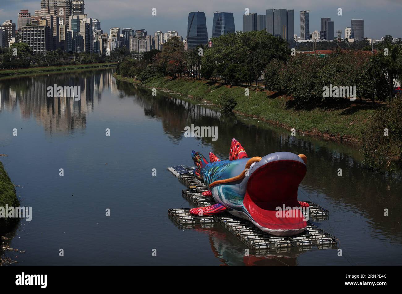(170825) -- SAO PAULO, Aug. 25, 2017 -- A representation of a giant fish, 30 meters long and 7 meters high, floats through the Pinheiros river, in Sao Paulo, Brazil, on Aug. 24, 2017. The floating urban intervention called Pintado is a work of the Brazilian plastic artist Eduardo Srur, and is part of an event called Virada Sustentavel , that takes place on Aug. 24 to 27 in Sao Paulo, with the objetive of taking to society the actions related with sustainable living. ) (da) (fnc) BRAZIL-SAO PAULO-ENVIRONMENT-EVENT RahelxPatrasso PUBLICATIONxNOTxINxCHN   Sao Paulo Aug 25 2017 a representation of Stock Photo