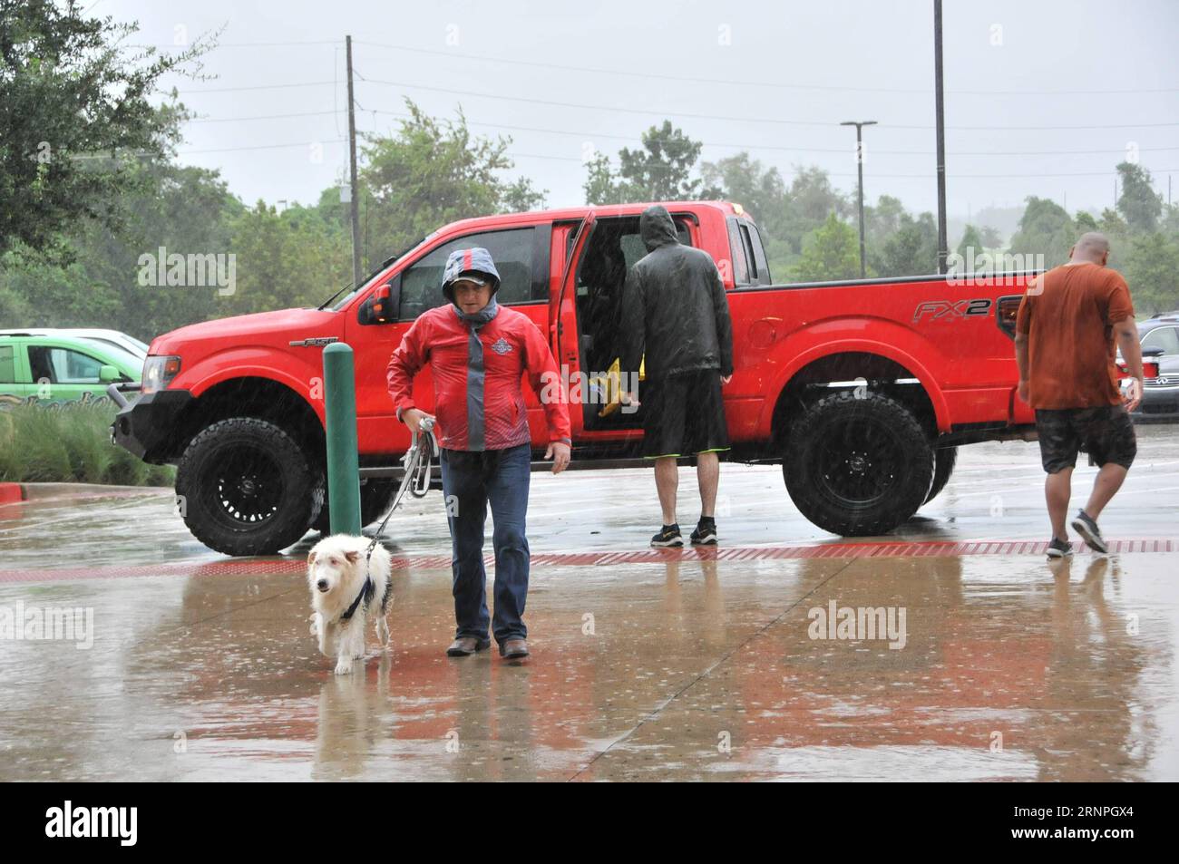 (170829) -- HOUSTON, Aug. 29, 2017 -- A resident and his pet dog are evacuated to the Constellation Field shelter in Sugar Land near Houston, the United States, on Aug. 28, 2017. The priority at this moment was to evacuate people stranded in their houses, and the shelters across the Greater Houston have homed about 5,000 people, Mayor of Houston Sylvester Turner told a press conference on Monday. ) (jmmn) U.S.-HOUSTON-HURRICANE-SHELTER LiuxLiwei PUBLICATIONxNOTxINxCHN   Houston Aug 29 2017 a Resident and His Pet Dog are evacuated to The Constellation Field Shelter in Sugar Country Near Houston Stock Photo