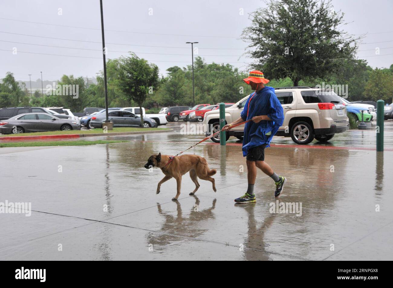 (170829) -- HOUSTON, Aug. 29, 2017 -- A resident and his pet dog are evacuated to the Constellation Field shelter in Sugar Land near Houston, the United States, on Aug. 28, 2017. The priority at this moment was to evacuate people stranded in their houses, and the shelters across the Greater Houston have homed about 5,000 people, Mayor of Houston Sylvester Turner told a press conference on Monday. ) (jmmn) U.S.-HOUSTON-HURRICANE-SHELTER LiuxLiwei PUBLICATIONxNOTxINxCHN   Houston Aug 29 2017 a Resident and His Pet Dog are evacuated to The Constellation Field Shelter in Sugar Country Near Houston Stock Photo