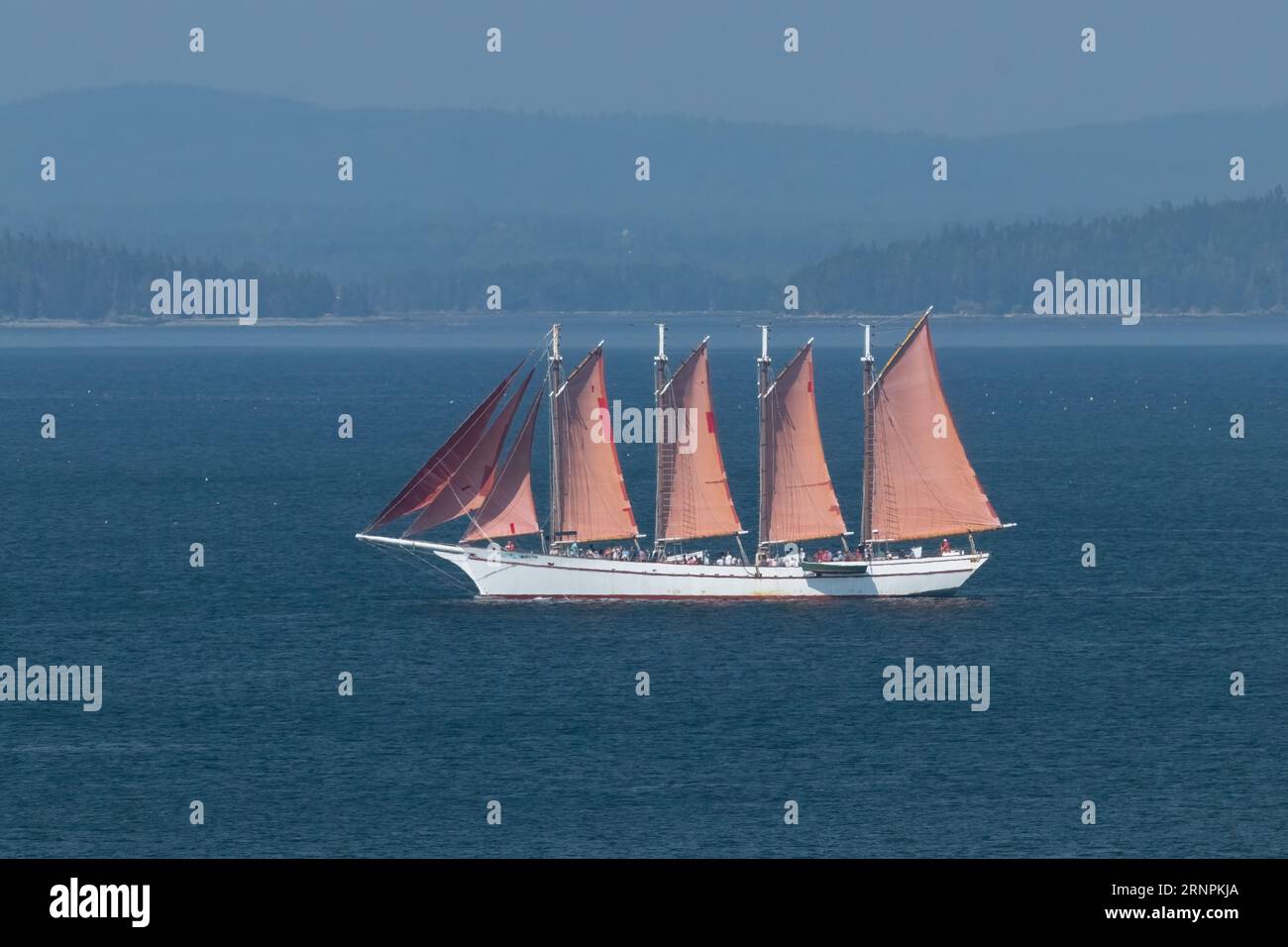 four masted schooner in full sail, in Bar Harbor with the American flag in the foreground, with seagulls flying Stock Photo
