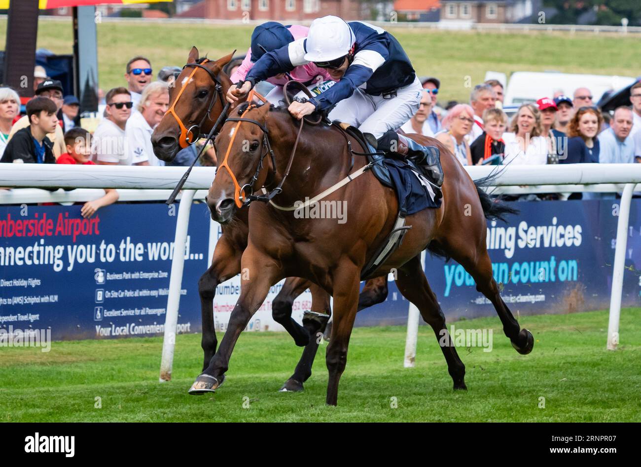 Beverley Racecourse, Beverley, Yorkshire, UK, Saturday September 2nd 2023. Leodis Dream and jockey David Nolan win the Constant Security Handicap Stakes for trainer Paul Midgley and owners The Beer Stalker & Partner. Credit JTW Equine Images / Alamy Live News. Stock Photo