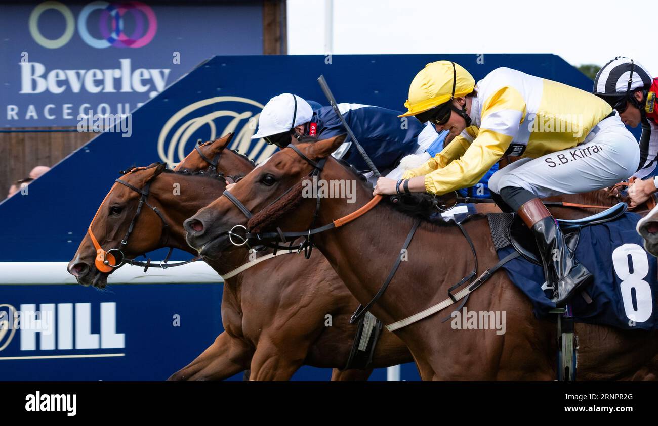 Beverley Racecourse, Beverley, Yorkshire, UK, Saturday September 2nd 2023. Leodis Dream and jockey David Nolan win the Constant Security Handicap Stakes for trainer Paul Midgley and owners The Beer Stalker & Partner. Credit JTW Equine Images / Alamy Live News. Stock Photo