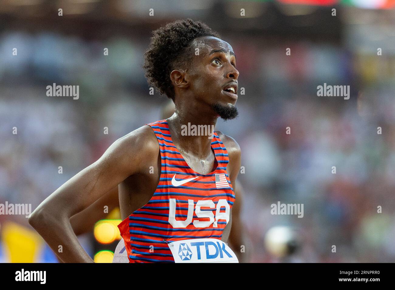 Abdihamid Nur (USA) looks for his time of 13:36.37 in the 5000 to appear on the video board during the World Athletics Championships Budapest23 at The Stock Photo