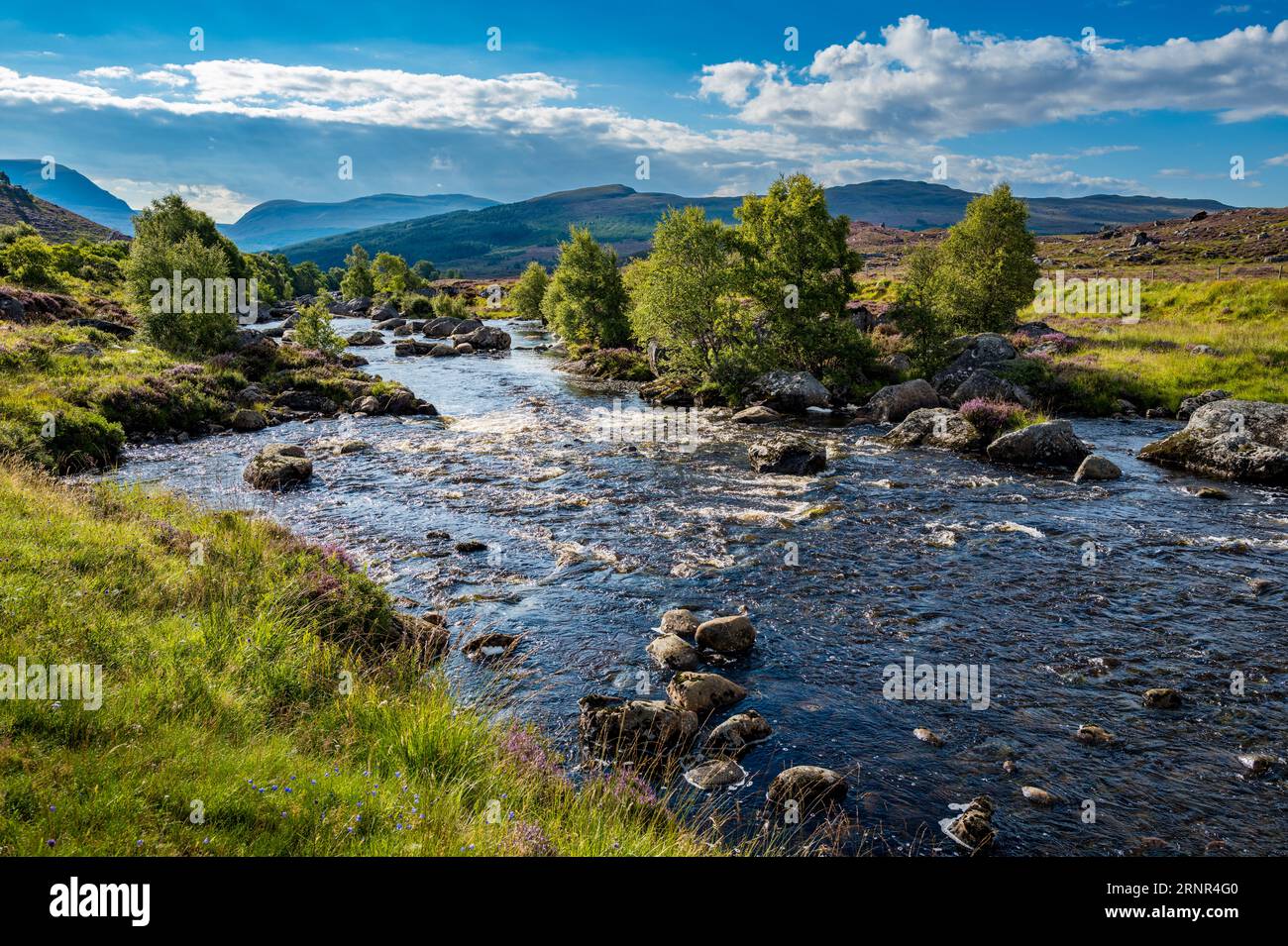 Ross Reed Scotland Landscape in Ross and Cromarty, highlands of Scotland with the Black ...