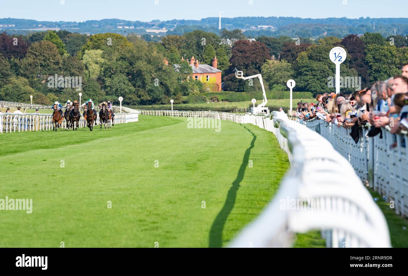 Beverley Racecourse, Beverley, Yorkshire, UK. Lazarus Dream gives jockey David Nolan a double on the day at Beverley by winning the Churchill Tyres Maiden Stakes for trainer Richard Fahey and owner the Richard Fahey Ebor Racing Club Ltd. Credit JTW Equine Images / Alamy Live News Stock Photo