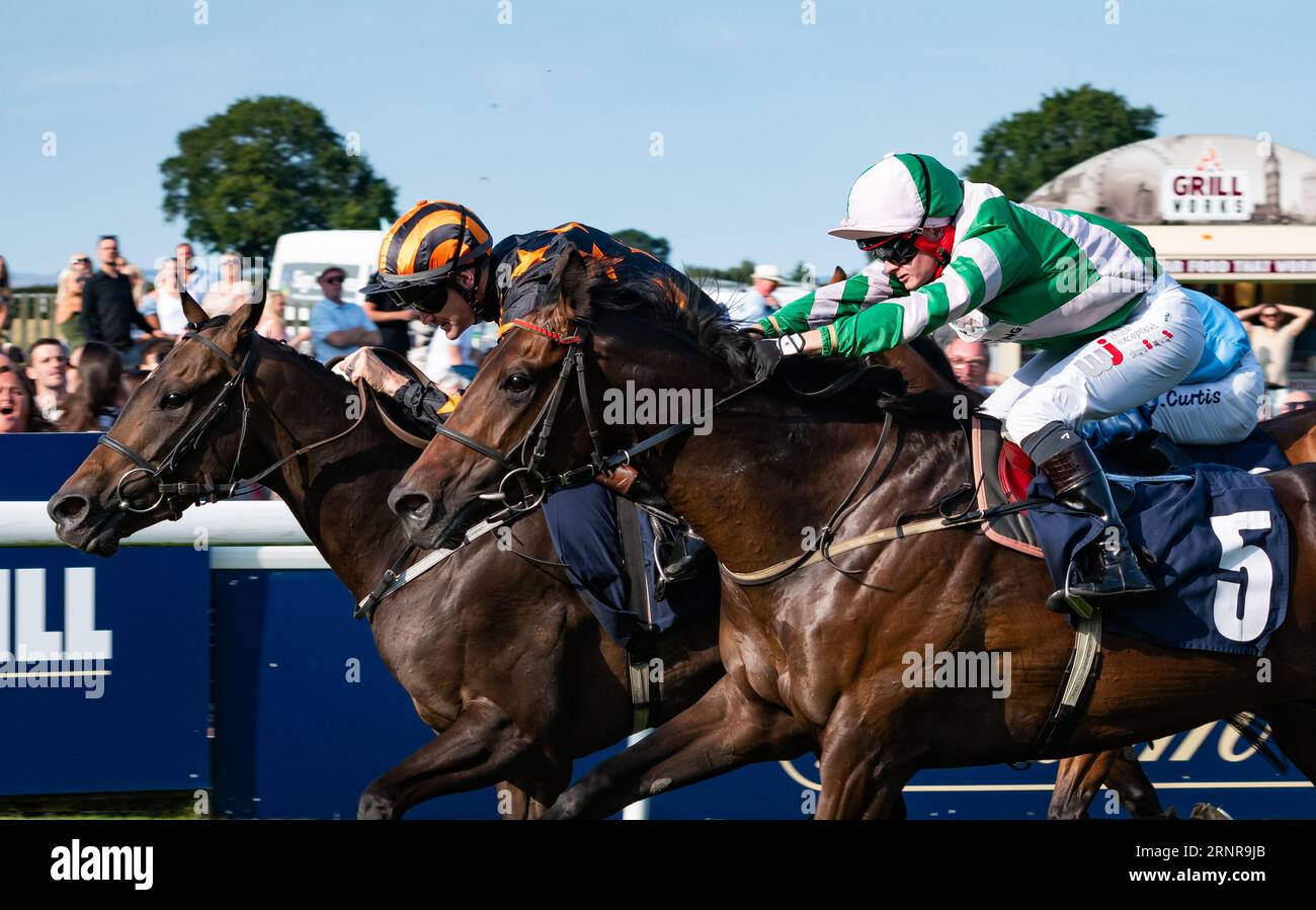 Beverley Racecourse, Beverley, Yorkshire, UK. Lazarus Dream gives jockey David Nolan a double on the day at Beverley by winning the Churchill Tyres Maiden Stakes for trainer Richard Fahey and owner the Richard Fahey Ebor Racing Club Ltd. Credit JTW Equine Images / Alamy Live News Stock Photo