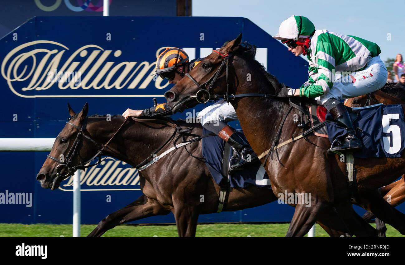 Beverley Racecourse, Beverley, Yorkshire, UK. Lazarus Dream gives jockey David Nolan a double on the day at Beverley by winning the Churchill Tyres Maiden Stakes for trainer Richard Fahey and owner the Richard Fahey Ebor Racing Club Ltd. Credit JTW Equine Images / Alamy Live News Stock Photo