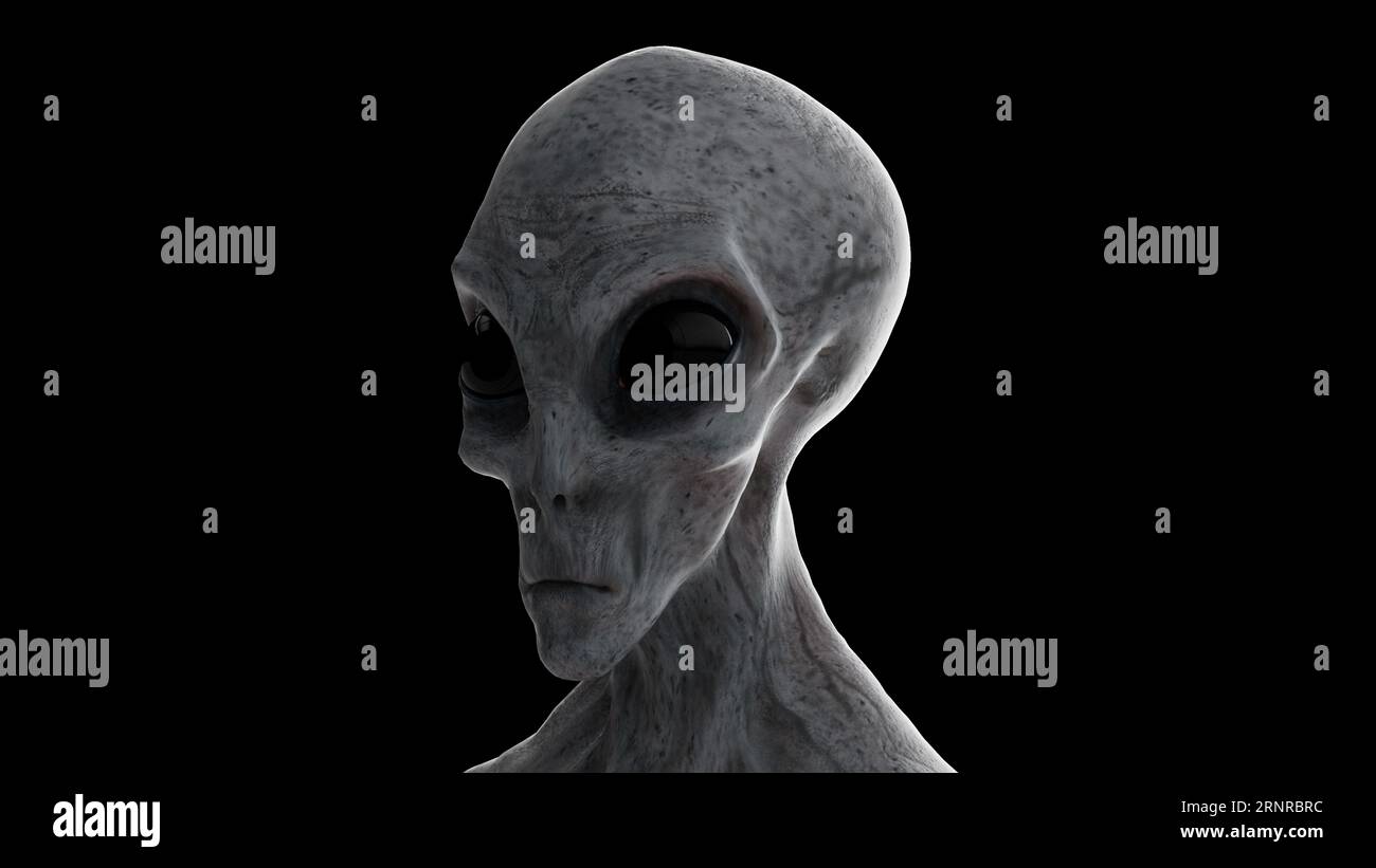 Alien anatomy hi-res stock photography and images - Alamy