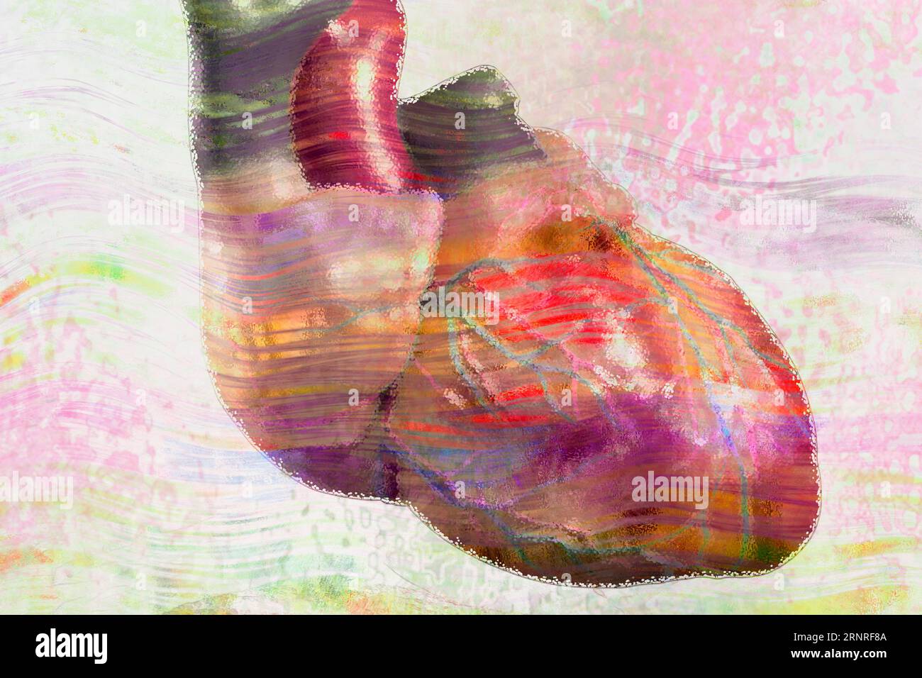 Human body heart hi-res stock photography and images - Alamy
