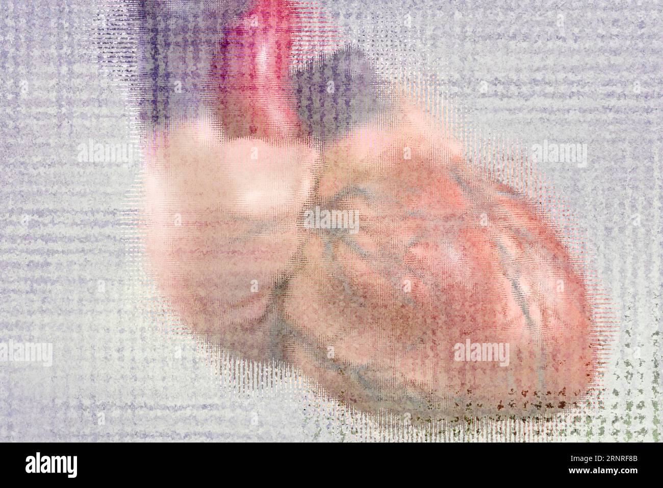 Human body heart hi-res stock photography and images - Alamy