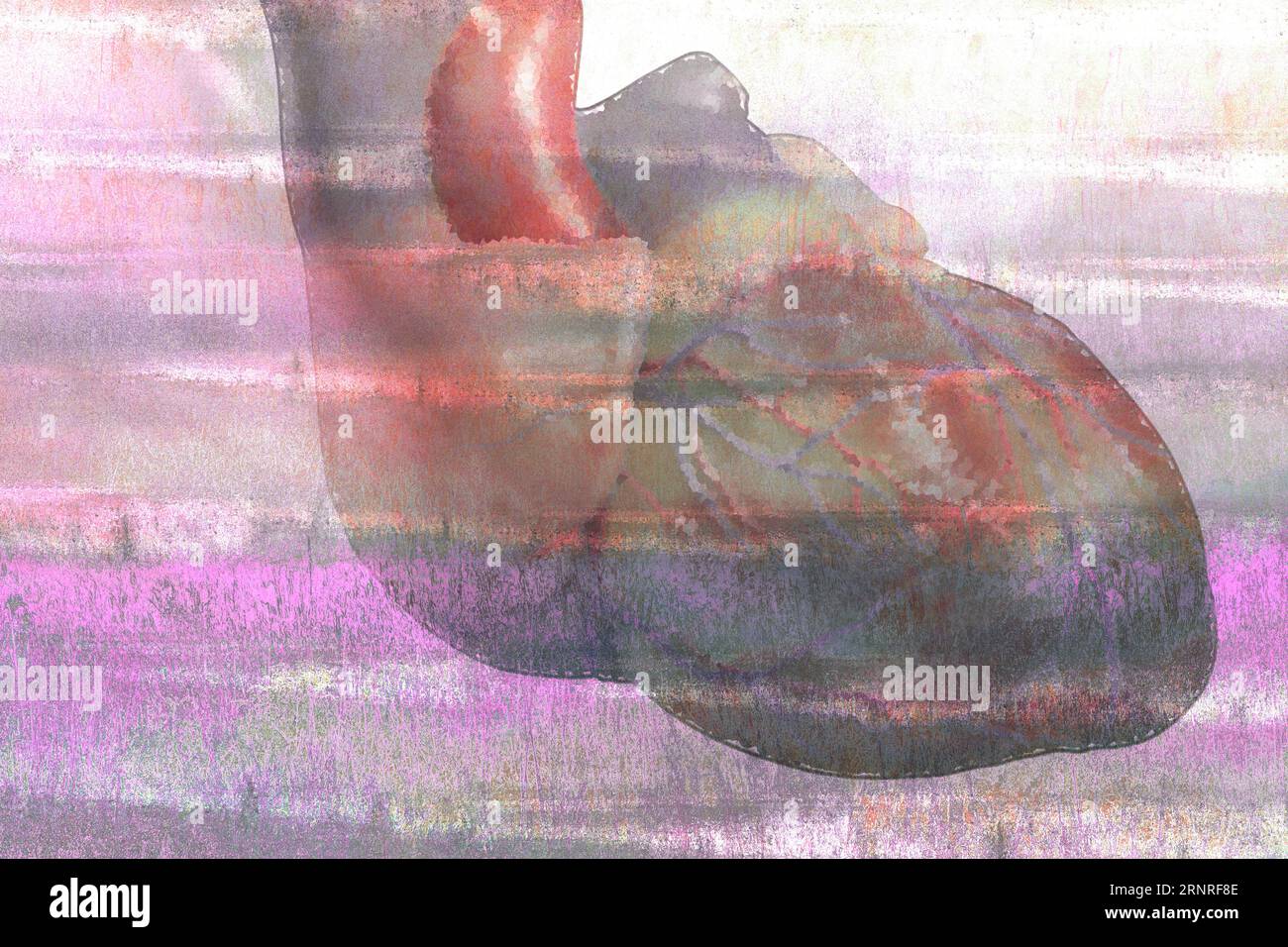 Human body heart hi-res stock photography and images - Alamy