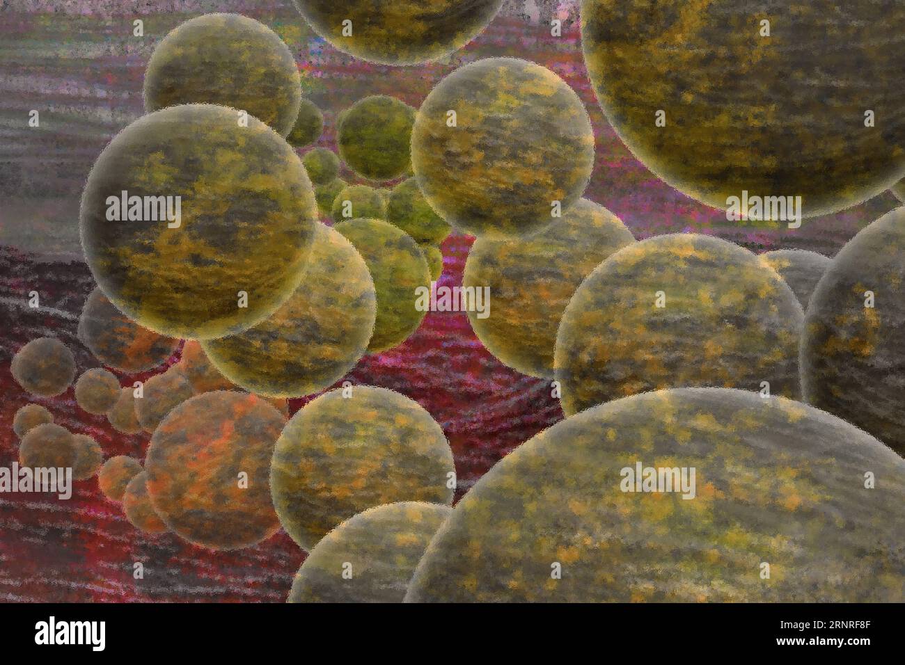 Animals cells hi-res stock photography and images - Alamy
