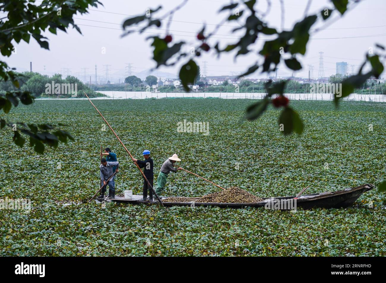 Xinghuo hi-res stock photography and images - Alamy