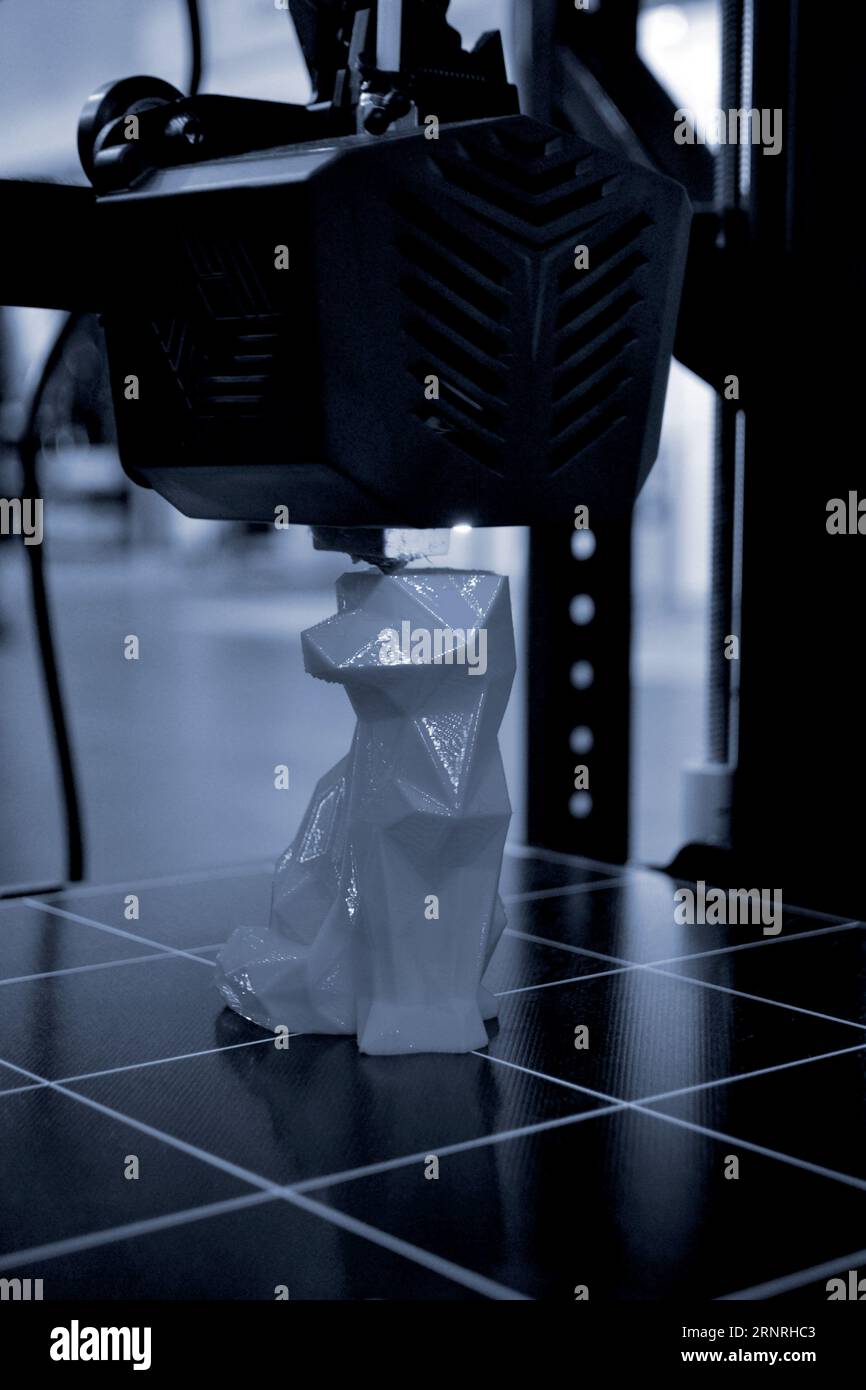 Working 3D printer printing an object from plastic. Printing a model ...