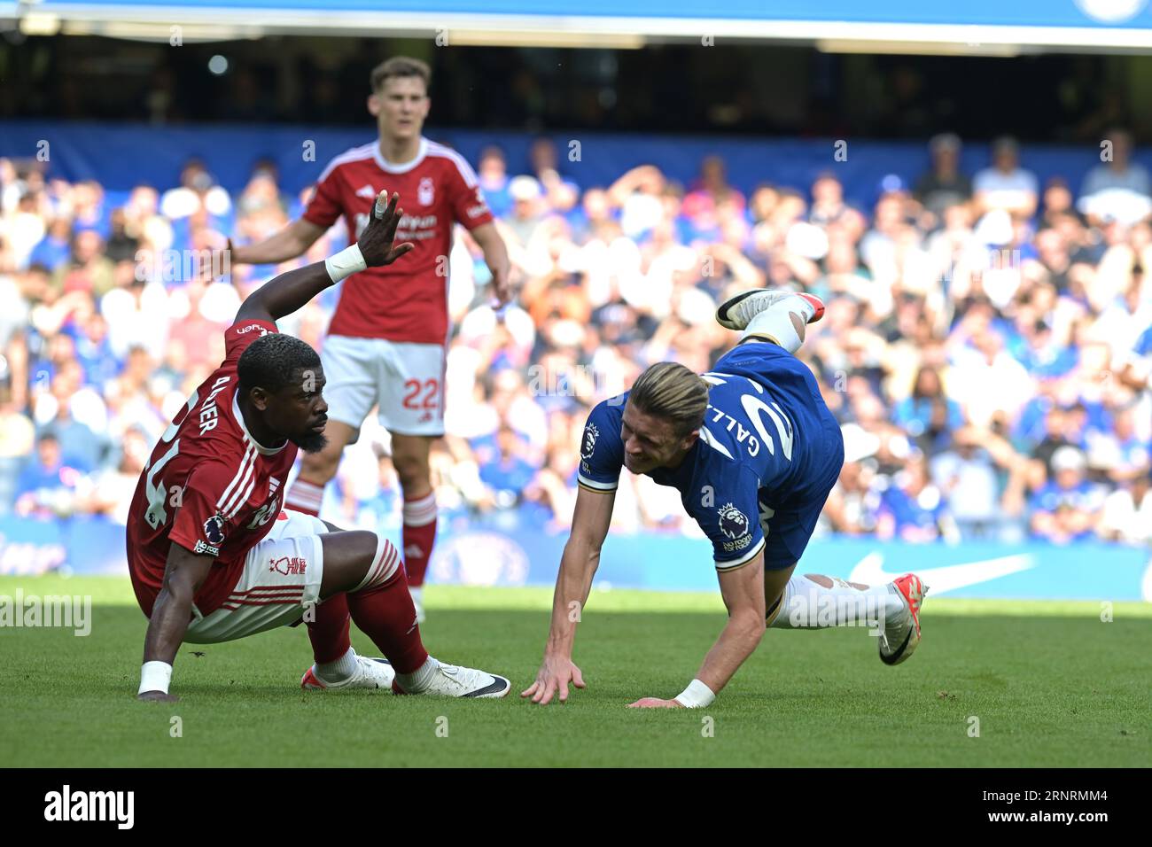 London, UK. 2nd Sep, 2023. Conor Gallagher of Chelsea and Serge Aurier of Nottingham Forest during the Chelsea vs Nottingham Forest Premier League match at Stamford Bridge London Credit: MARTIN DALTON/Alamy Live News Stock Photo