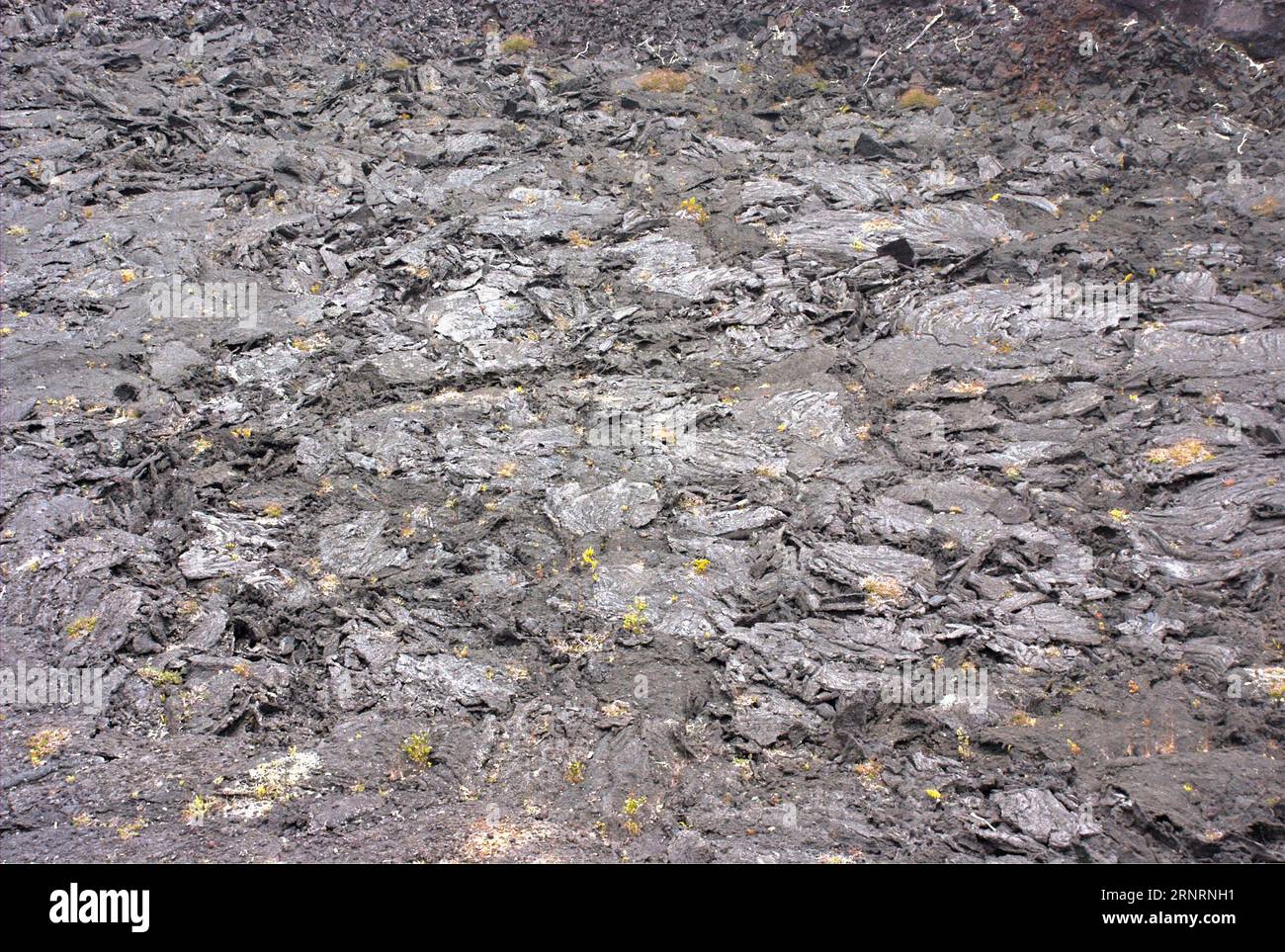 Kilauea volcano lava eruption close up hi-res stock photography and ...