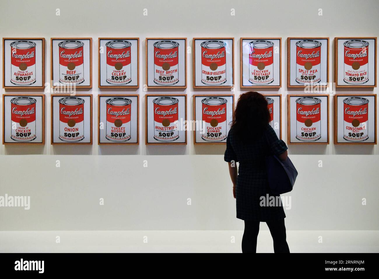 (171010) -- PARIS, Oct. 10, 2017 -- A visitor looks at Andy Warhol s Campbell s Soup Cans during a media preview for the exhibition Being Modern: MoMA in Paris at Foundation Louis Vuitton in Paris, France, on Oct. 10, 2017. The Museum of Modern Art (MoMA) and Foundation Louis Vuitton will hold the first comprehensive exhibition in France to present MoMA s collection. The exhibition Being Modern: MoMA in Paris will be on view for the public at Foundation Louis Vuitton from Oct. 11, 2017 to March 5, 2018. ) FRANCE-PARIS-EXHIBITION-MOMA ChenxYichen PUBLICATIONxNOTxINxCHN Stock Photo