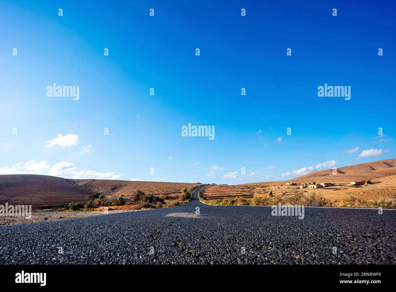 A long, winding road that seems to lead to nowhere. The road is empty, and the only thing in sight is a few cacti and a distant mountain range. The sk Stock Photo