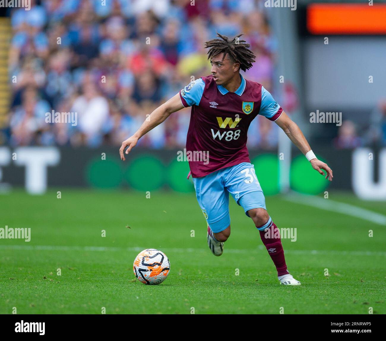 Luca koleosho hi-res stock photography and images - Alamy