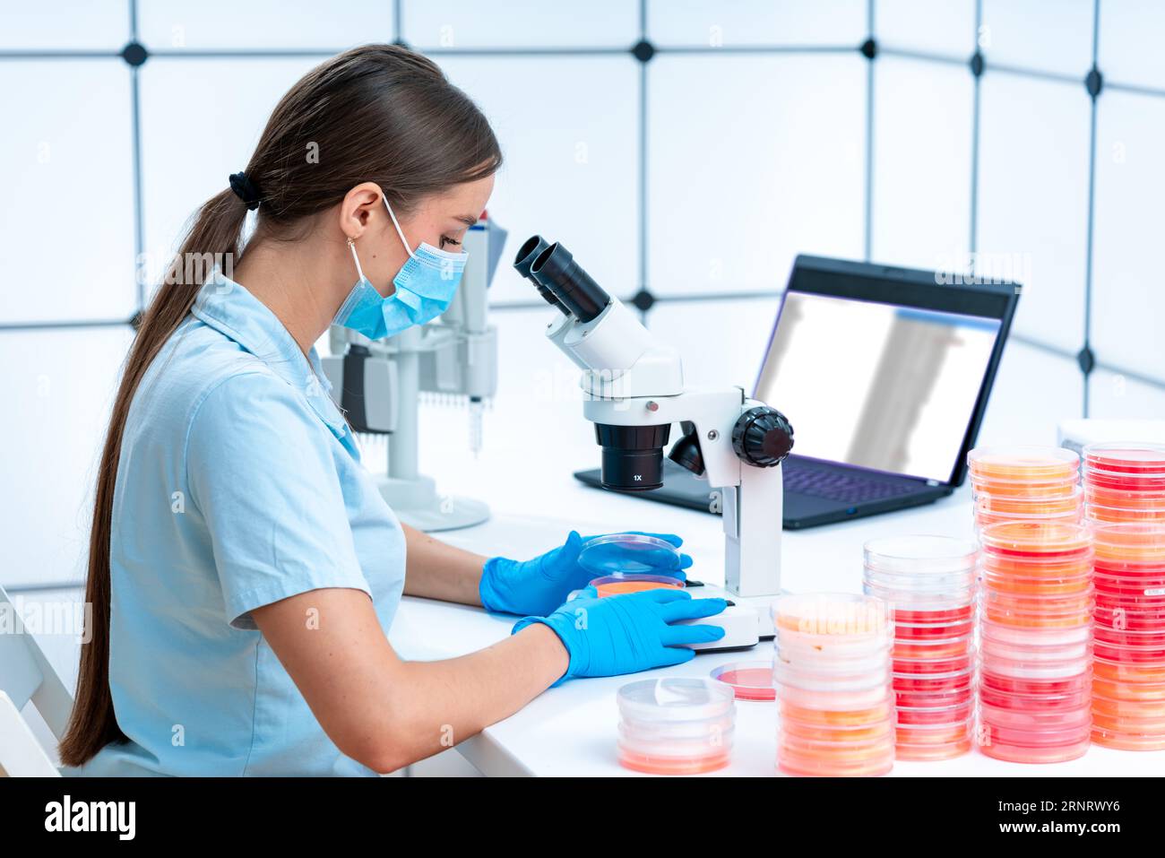 Cloning and transformation: Petri dishes are utilized in cloning experiments to propagate and select transformed cells or organisms carrying a specifi Stock Photo