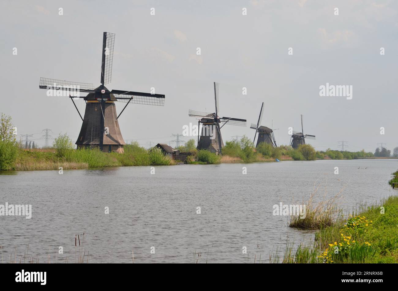 The 19 windmills of Kinderdijk are located 15 km from Rotterdam. They are part of the UNESCO World Heritage site. Stock Photo
