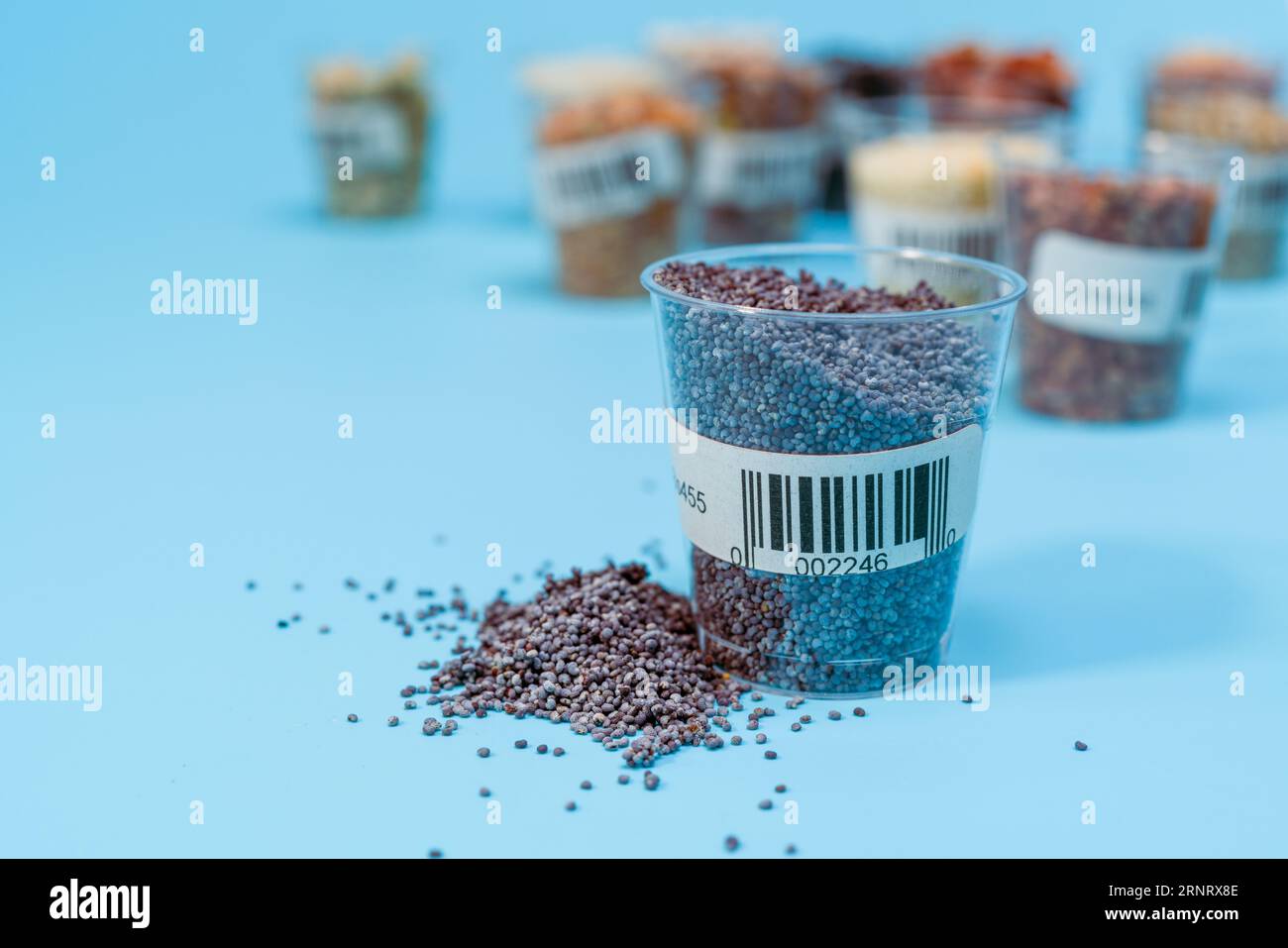 Plants traits hi-res stock photography and images - Alamy