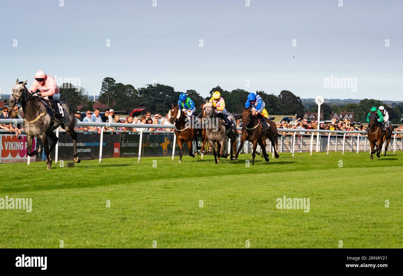 William brookes hi-res stock photography and images - Alamy