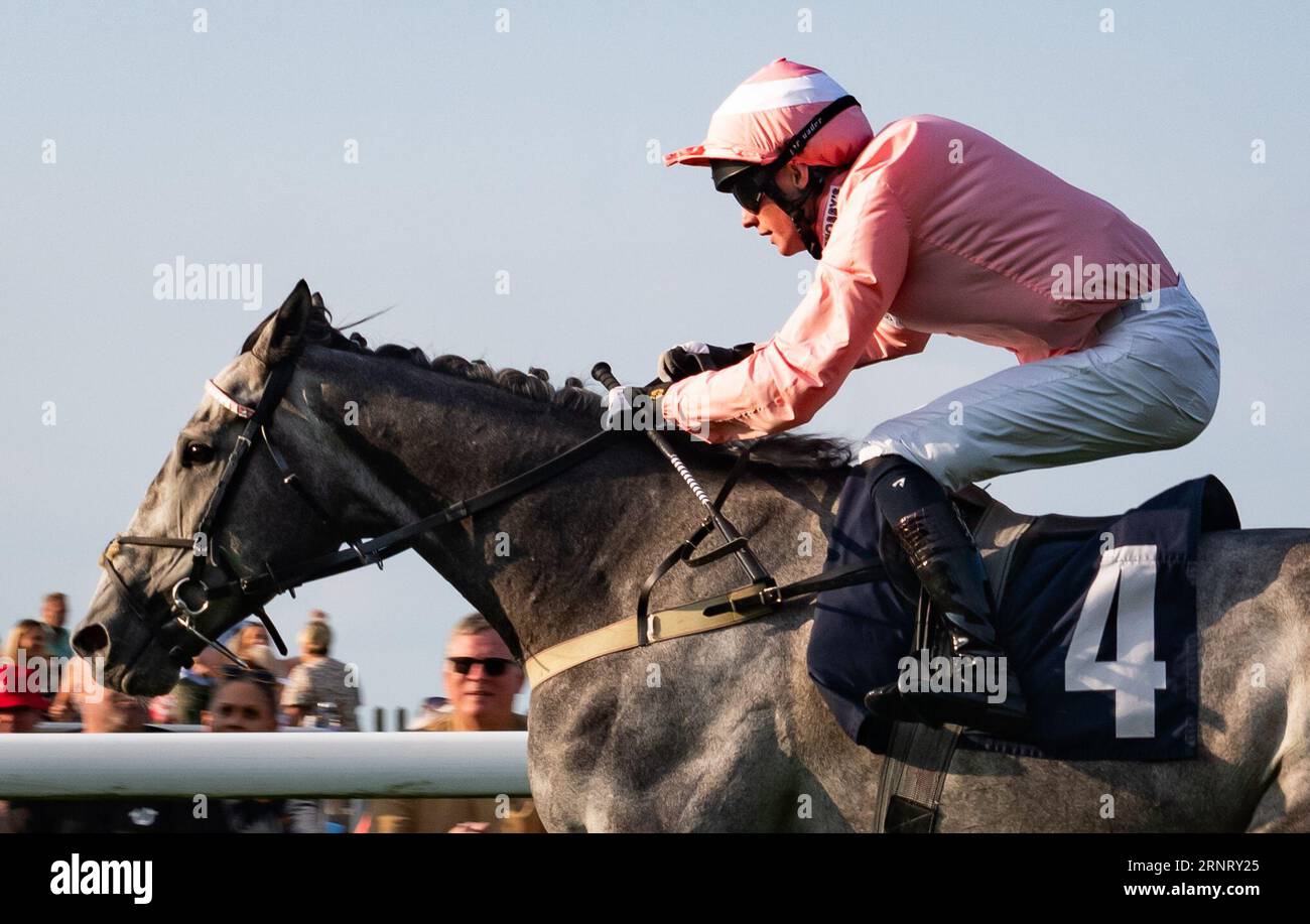 Harriet bethell trainer hi-res stock photography and images - Alamy