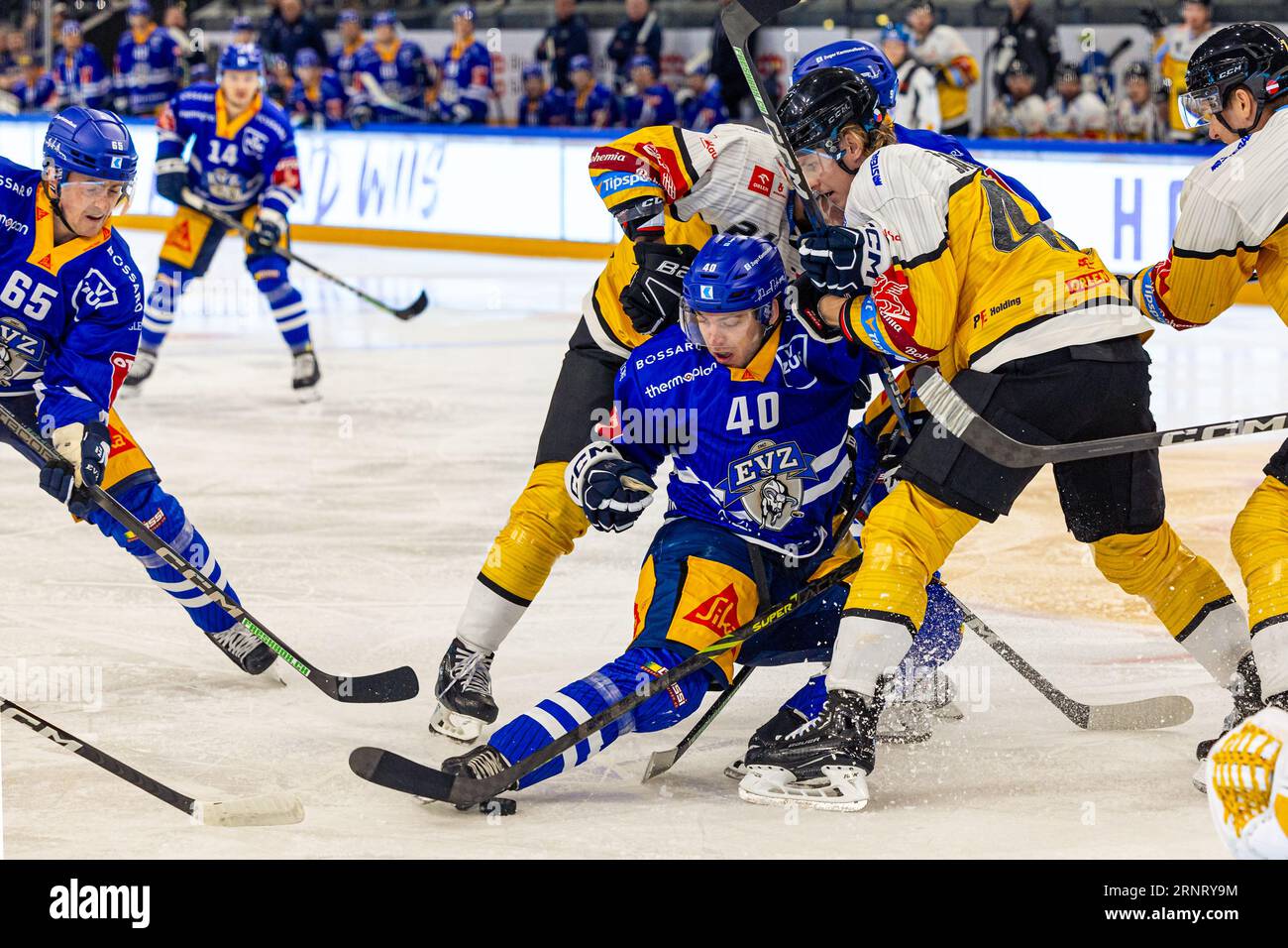 Andreas Wingerli #40 (EV Zug) during the National League preparatory ice hockey game between EV Zug and HC Verva Litvinov on September 1st, 2023 in the Bossard Arena in Zug