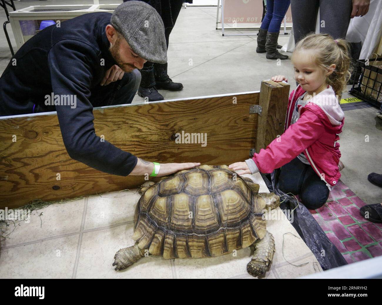 (171022) -- SURREY, Oct. 22, 2017 -- People touch a tortoise during the Pacific Pet Expo in Surrey, British Columbia, Canada, Oct. 21, 2017. The Pacific Pet Expo was a two-day event providing opportunities for pet owners and animal enthusiasts to meet with different kinds of animals and share their experiences in caring pets. ) (lx) CANADA-SURREY-PET EXPO LiangxSen PUBLICATIONxNOTxINxCHN Stock Photo