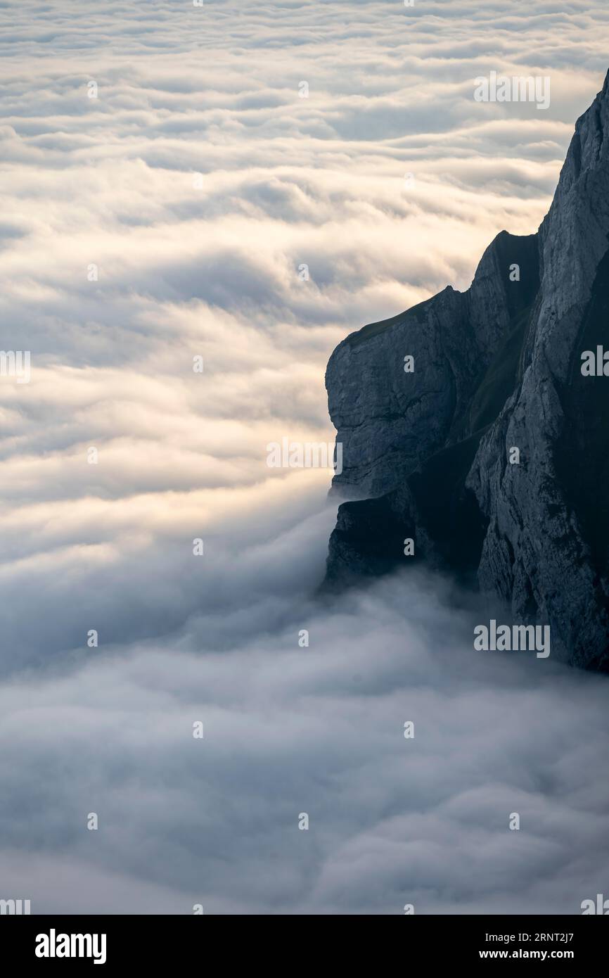 Cloud cover and mountains, high fog, Appenzell Ausserrhoden, Appenzell Alps, Switzerland Stock Photo