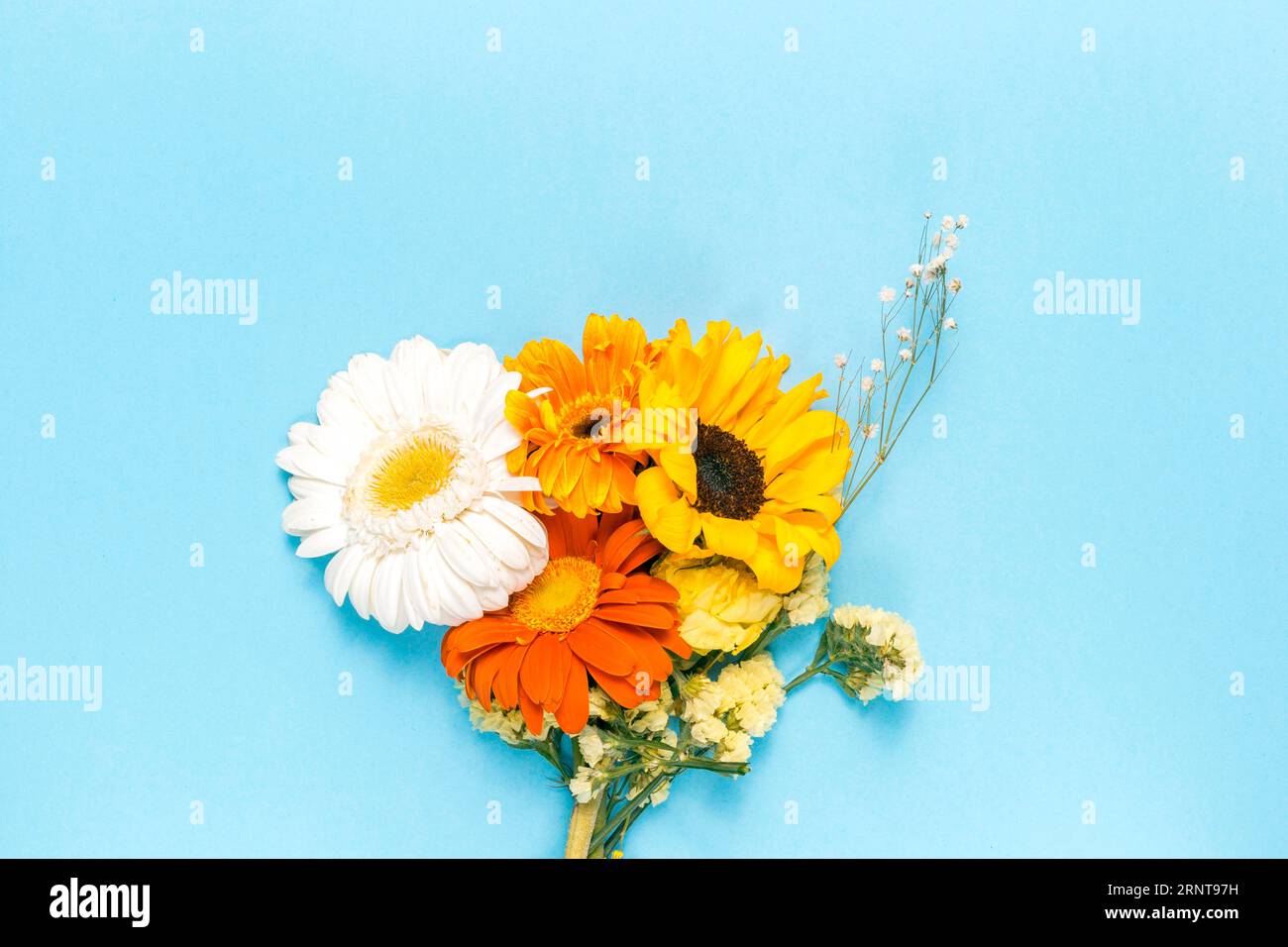 With flower bouquet hi-res stock photography and images - Alamy
