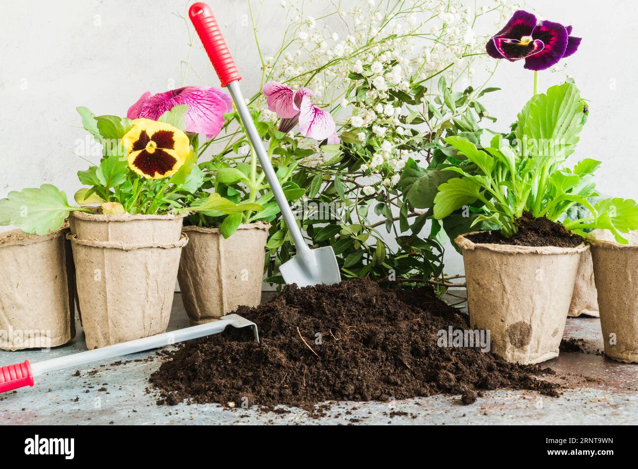 Gardening tools soil with peat potted plants Stock Photo