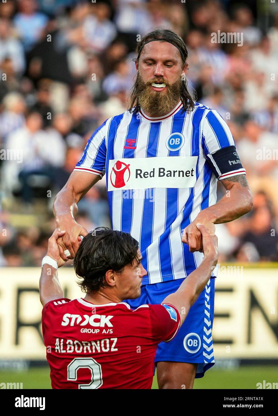 Odense, Denmark. 01st Sep, 2023. Bjorn Paulsen (4) of Odense BK and Miiko Albornoz (3) of Vejle BK seen during the 3F Superliga match between Odense BK and Vejle BK at Nature Energy Park in Odense. (Photo Credit: Gonzales Photo/Alamy Live News Stock Photo