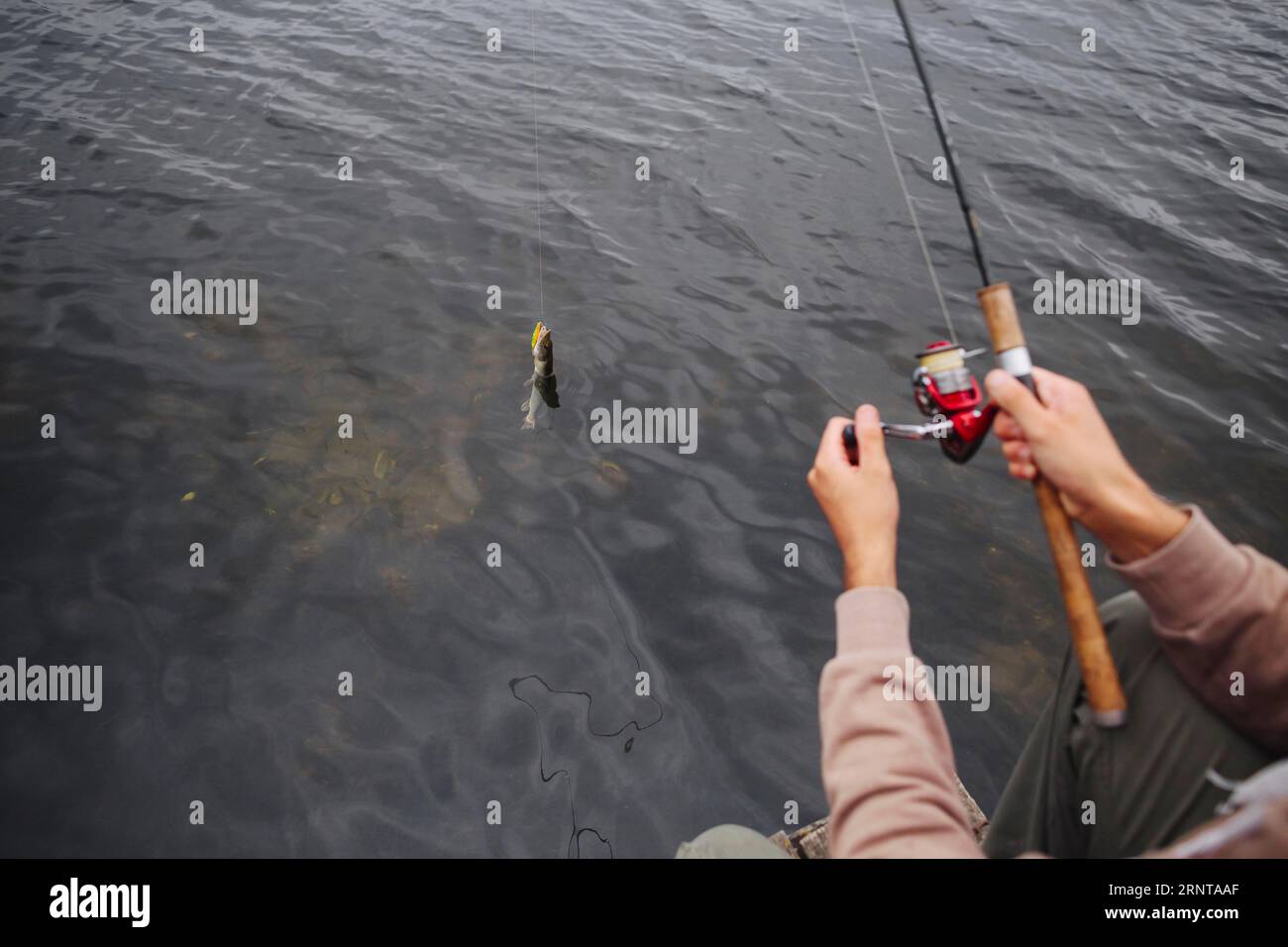 Man using fishing reel catch fish from lake Stock Photo Alamy