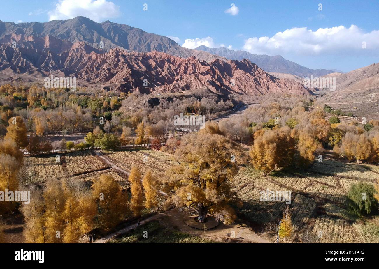 (171104) -- GUIDE, Nov. 4, 2017 -- Photo taken on Nov. 3, 2017 shows the autumn-colored scenery at Songba Village of Guide County in Hainan Tibetan Autonomous Prefecture, northwest China s Qinghai Province. )(wsw) CHINA-QINGHAI-AUTUMN SCENERY (CN) ZhangxHongxiang PUBLICATIONxNOTxINxCHN Stock Photo