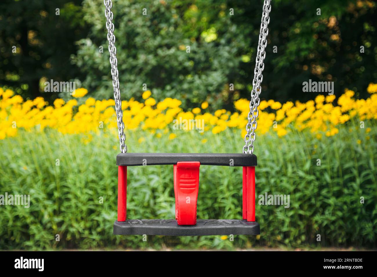 Empty swing hanging from tree hires stock photography and images Alamy