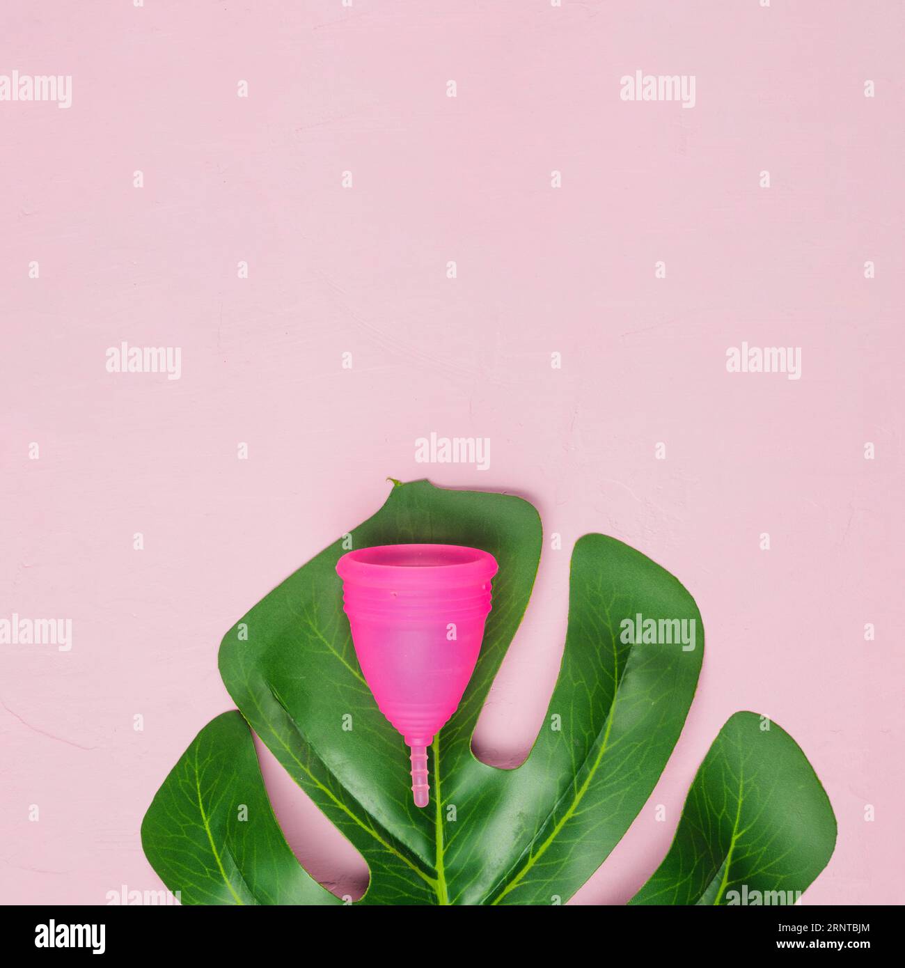 Top view leaf with menstrual cup Stock Photo Alamy