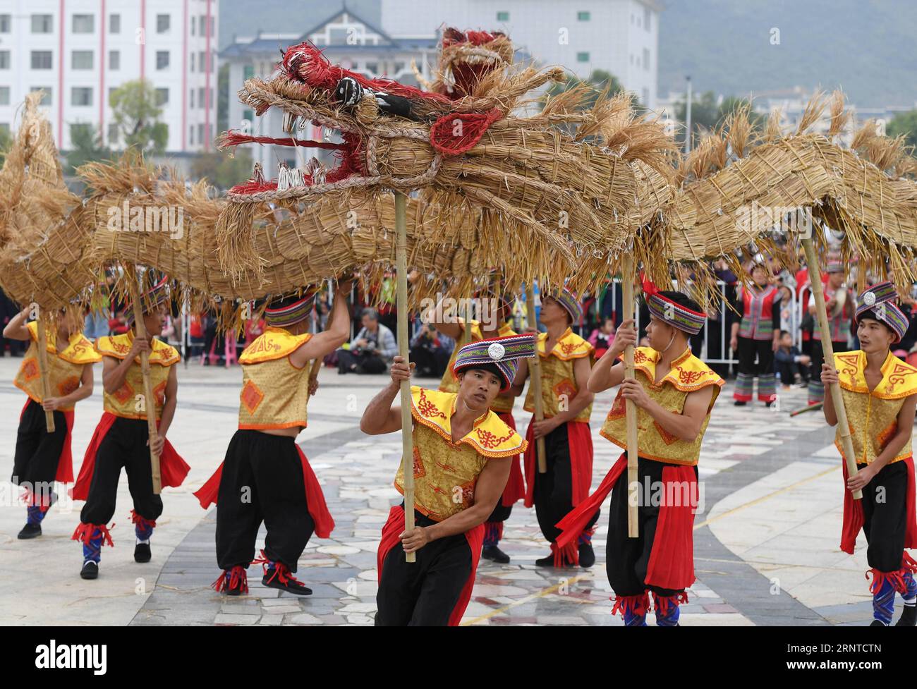 (171106) -- LUOCHENG, Nov. 6, 2017 -- People compete in a competition of grass dragon dance in Mulao Autonomous County of Luocheng, south China s Guangxi Zhuang Autonomous Region, Nov. 6, 2017. Local villagers gathered here to celebrate harvest and pray for good fortune. ) (mp) CHINA-GUANGXI-LUOCHENG-GRASS DRAGON DANCE (CN) LuxBoan PUBLICATIONxNOTxINxCHN Stock Photo