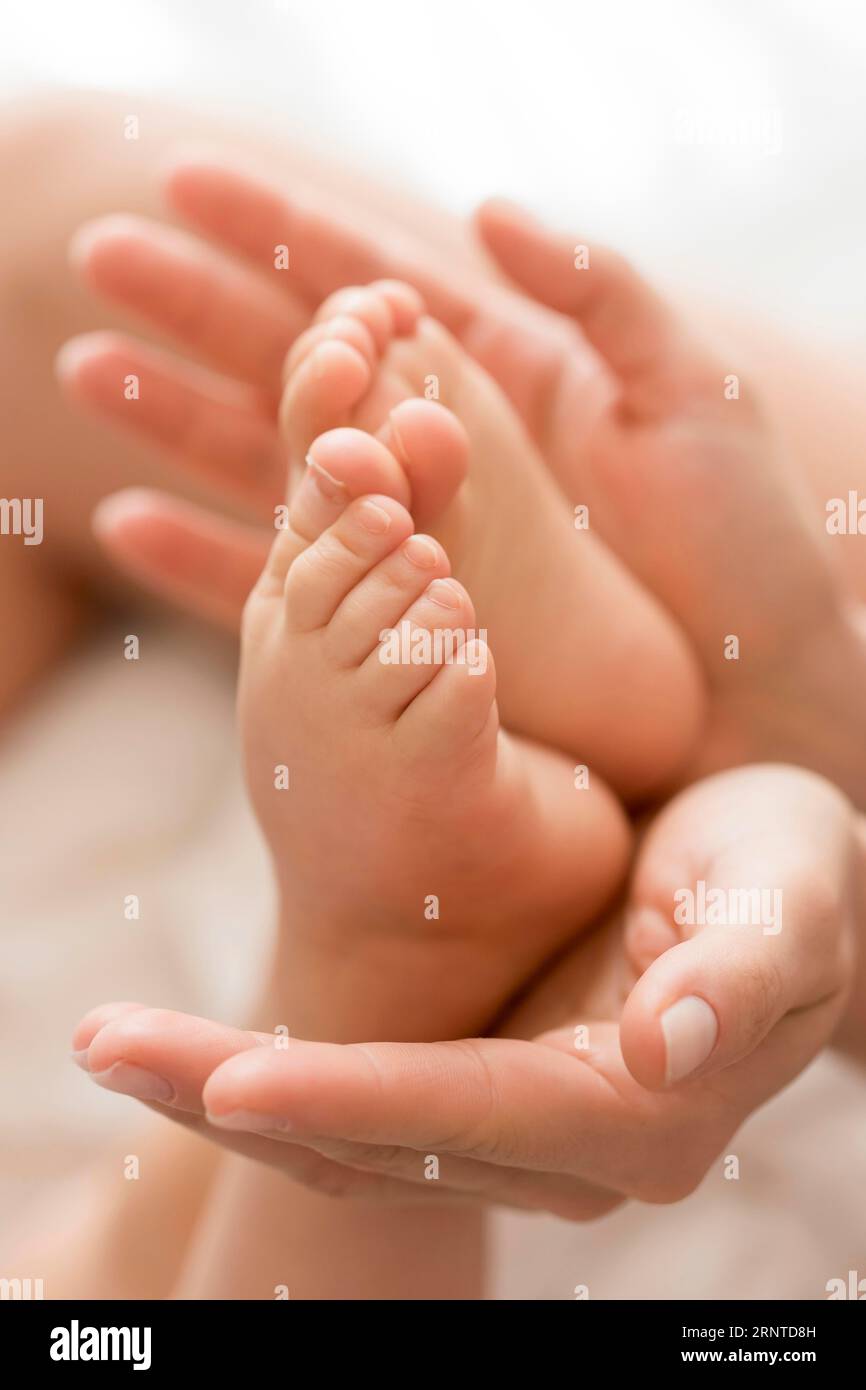 Close up mom holding baby s feet hands Stock Photo