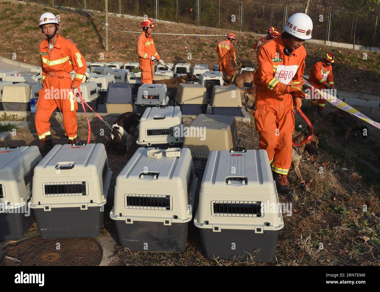 (171108) -- JINAN, Nov. 8, 2017 -- Drillers take sniffer dogs to prepare for a national competition of earthquake rescue in Jinan, capital of east China s Shandong Province, Nov. 7, 2017. ) (wf) CHINA-JINAN-DRILL-SNIFFER DOG (CN) LixZiheng PUBLICATIONxNOTxINxCHN Stock Photo