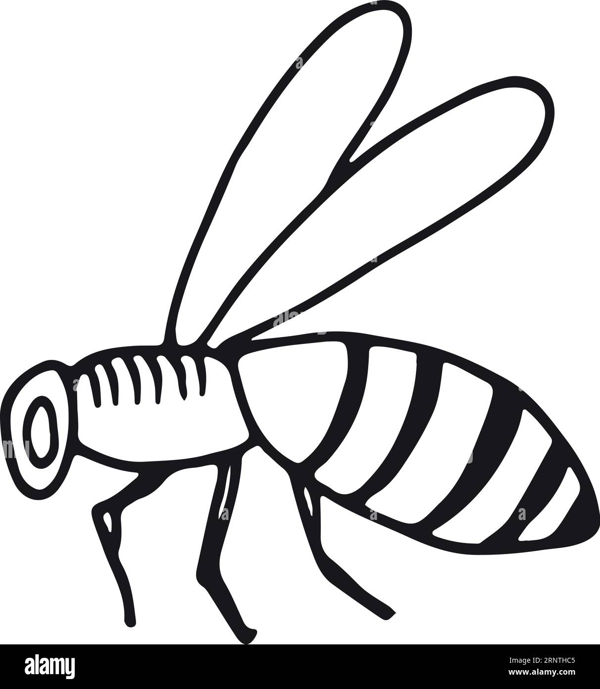 Honey Bee drawing easy 8 | How to draw Honey Bee easy way and step by step  drawing - YouTube