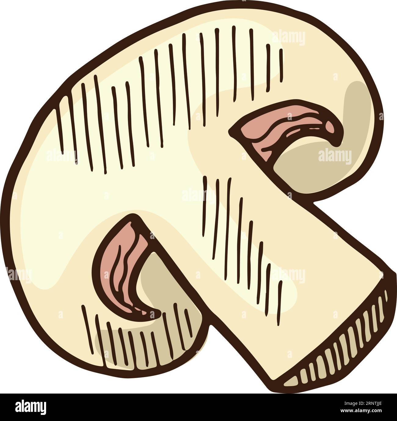 Champignon slice icon. Color food ingredient sketch Stock Vector