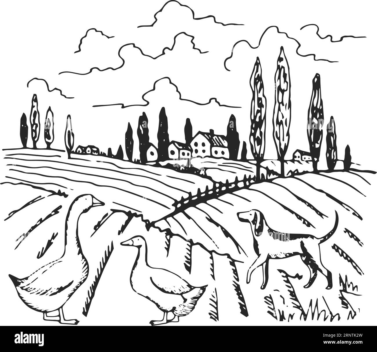 Rural field drawing. Farm sketch. Outdoor landscape Stock Vector