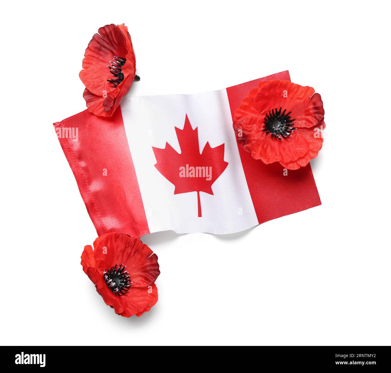Poppy flowers and flag of Canada isolated on white background
