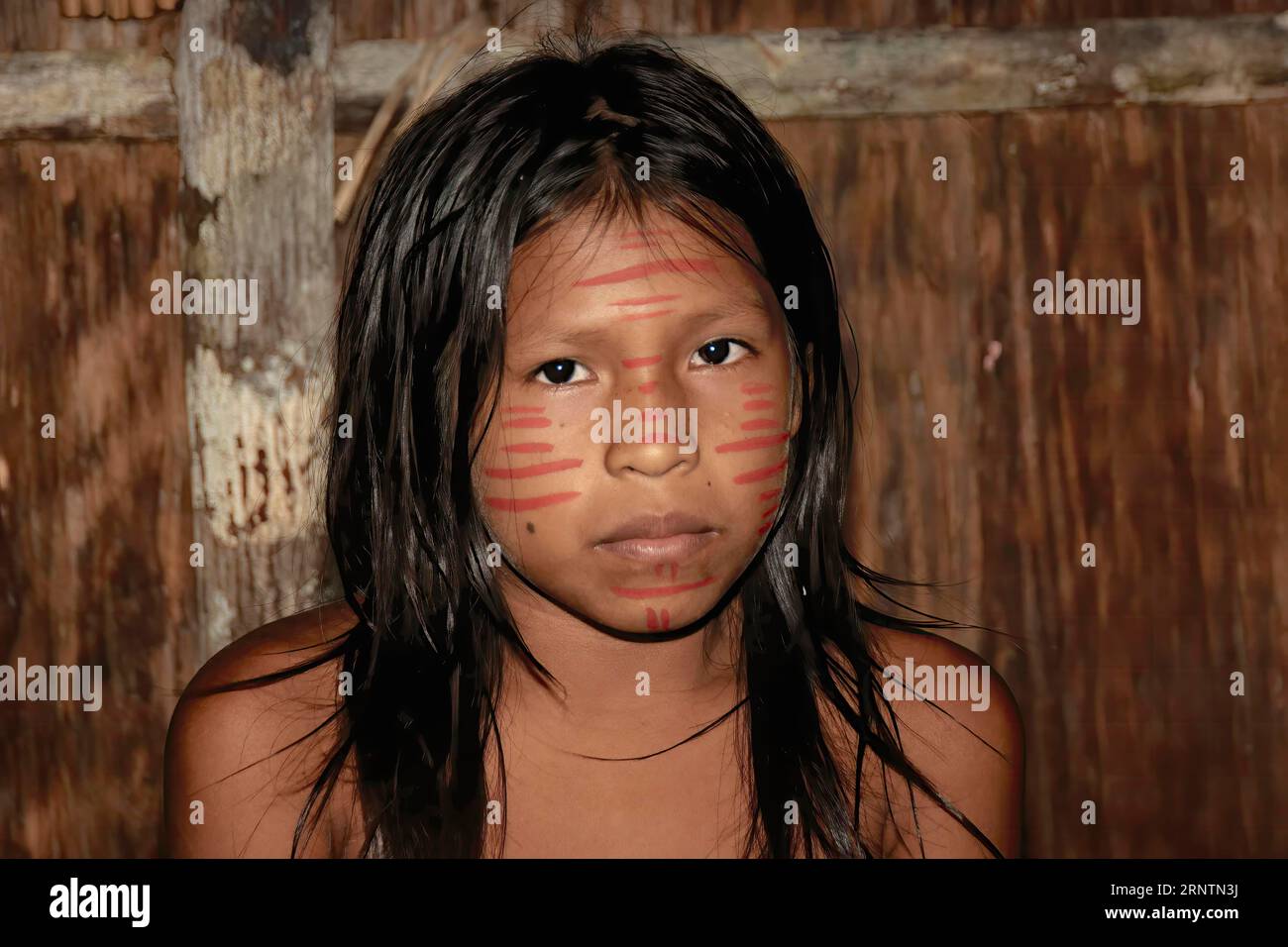 Portrait of an Indian girl from the Dessanos tribe, Rio Taruma, Manaus