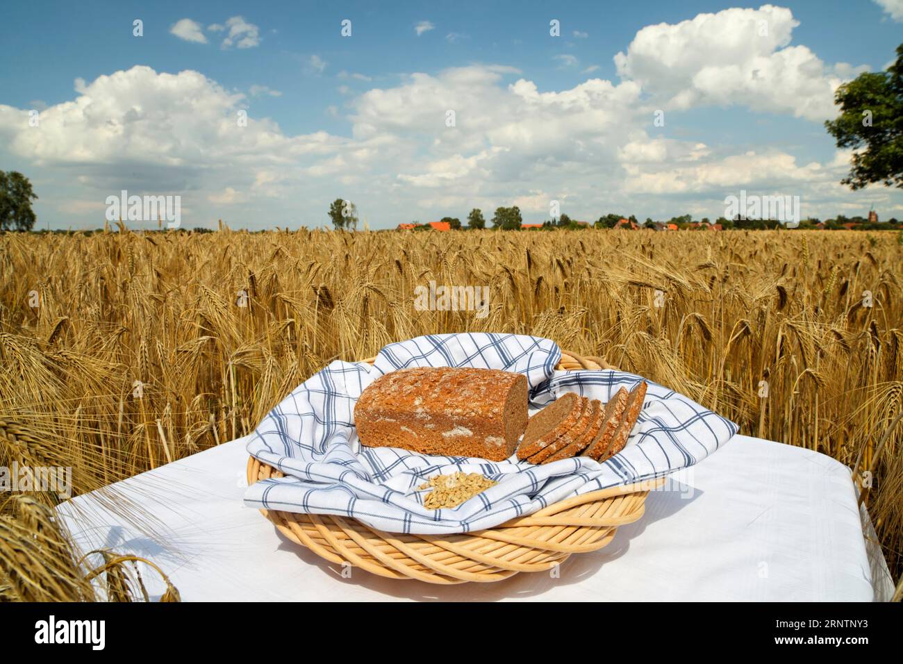 Barley bread in front of barley field Stock Photo