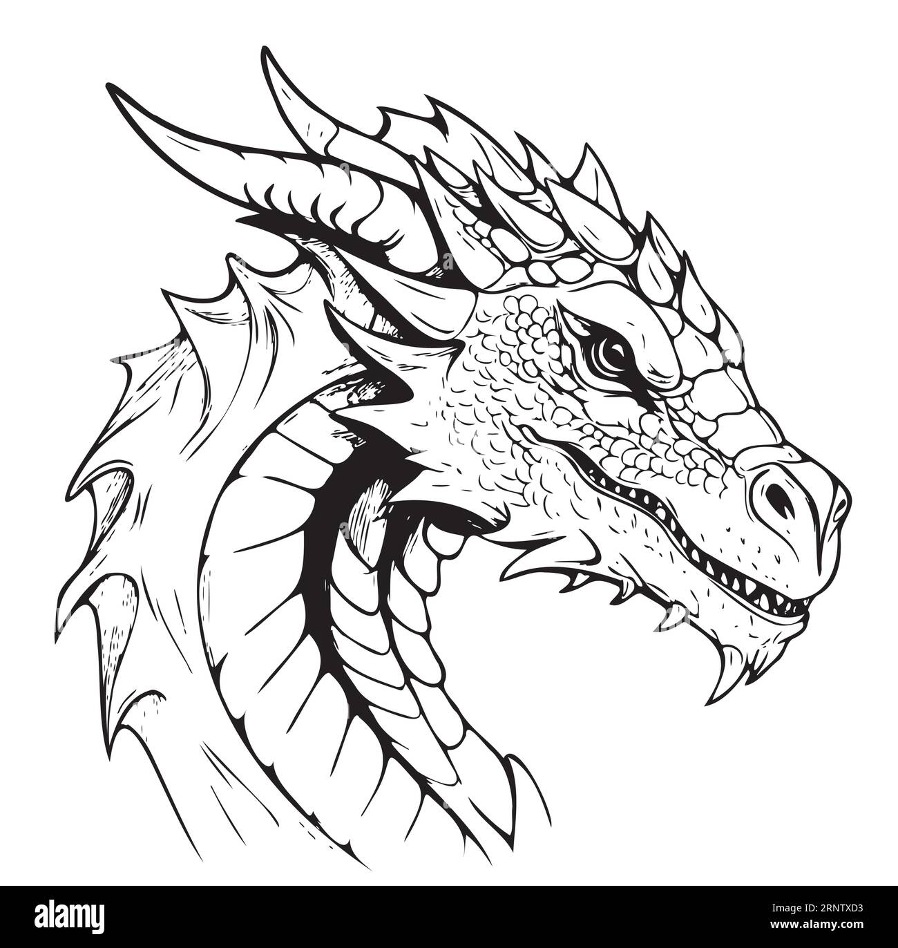 Dragon head drawing hi-res stock photography and images - Alamy