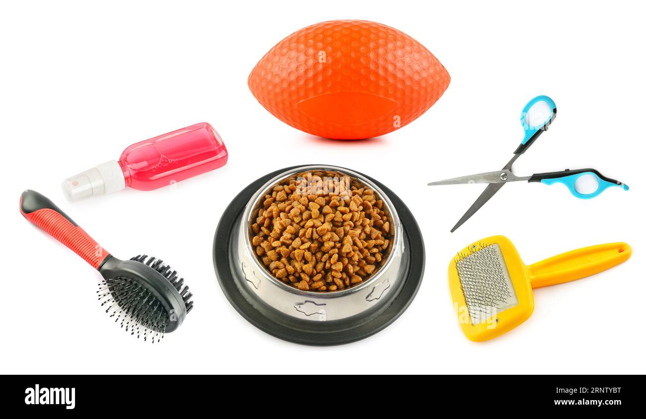 Pet supplies. Dry food, toy, combs, shampoo and scissors isolated on