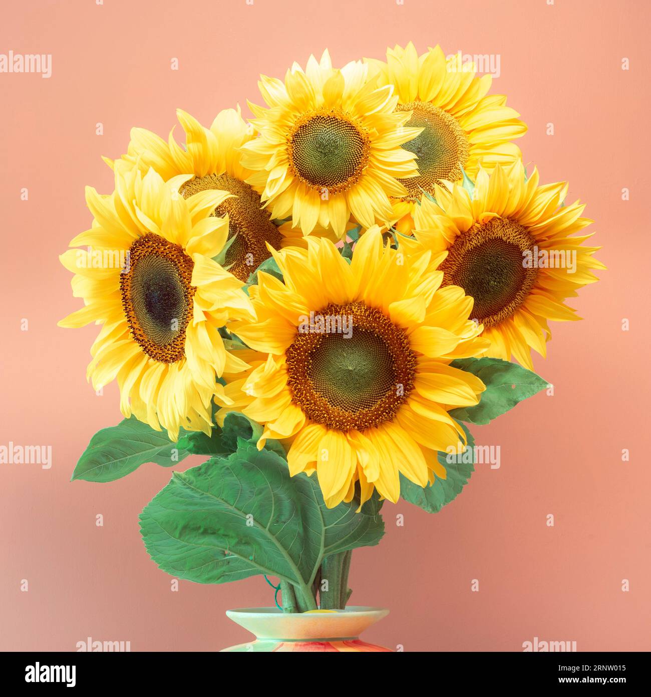 Bunch of sunflowers in a vase Stock Photo - Alamy